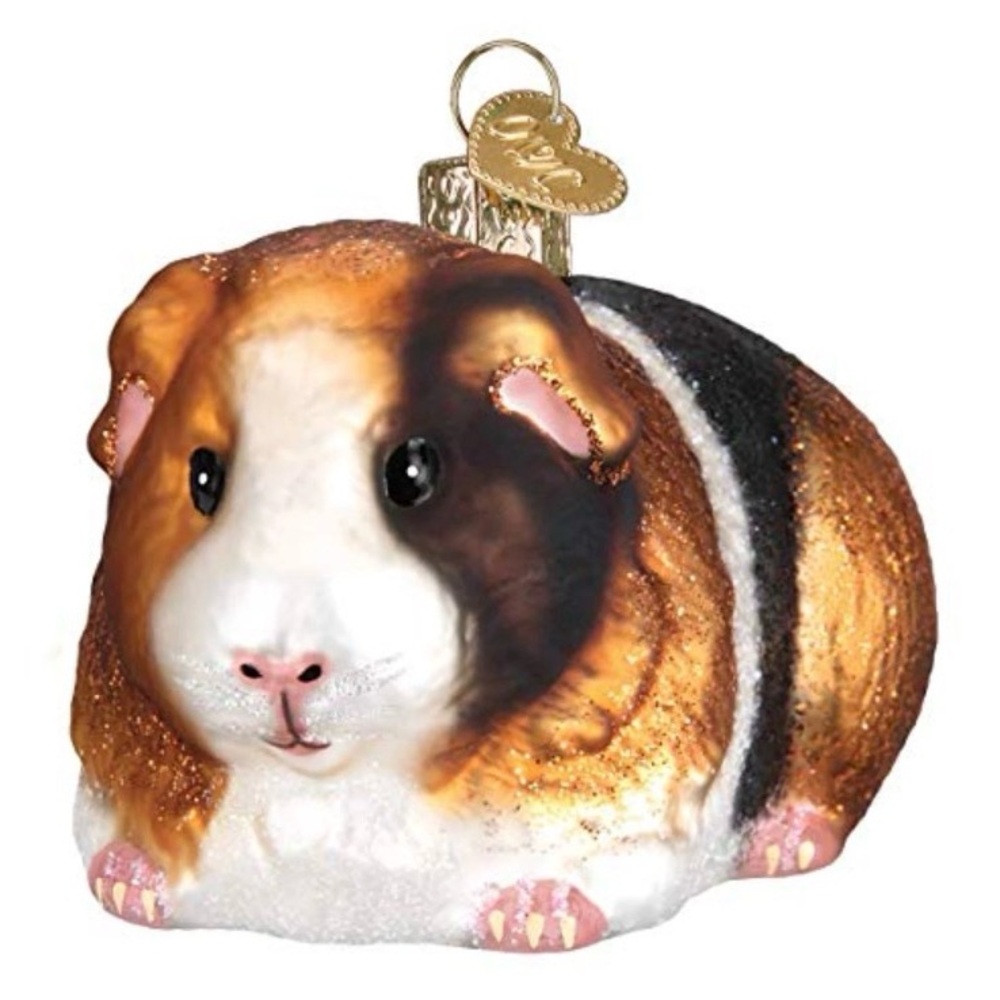 Old World Christmas Guinea Pig Glass Ornament 12542 New Blown Glass